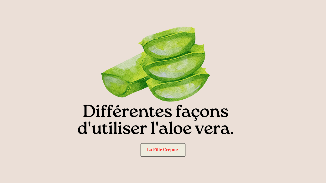 4 usages de l’aloe vera pour sublimer vos cheveux